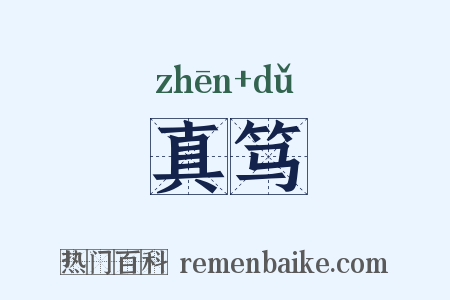 真笃是什么意思的图片